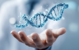 Ancient HHV-6 genomes, human herpesvirus 6, HHV-6A, HHV-6B, ancient viral DNA, chromosomal viral integration, inherited herpesvirus, Iron Age DNA, roseola infantum, febrile seizures, viral latency, human genome integration, infectious disease genomics, ancient pathogens, herpesvirus research