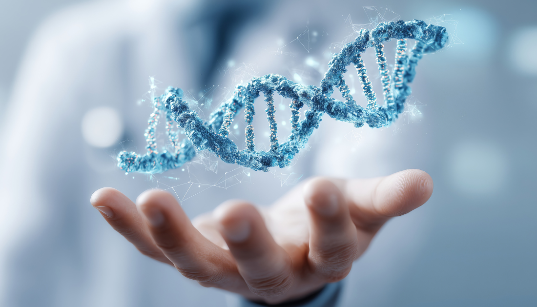 Ancient HHV-6 genomes, human herpesvirus 6, HHV-6A, HHV-6B, ancient viral DNA, chromosomal viral integration, inherited herpesvirus, Iron Age DNA, roseola infantum, febrile seizures, viral latency, human genome integration, infectious disease genomics, ancient pathogens, herpesvirus research