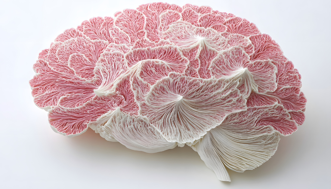 Chronic Pain, Neuroscience Research, Brain Circuits, Neuropathic Pain, Allodynia, Pain Management, Non Opioid Therapies, Insular Cortex, CGIC, Somatosensory Cortex, Journal of Neuroscience, HCP Education, Medical Research, HCP Education, Non-Opioid Pain Treatment