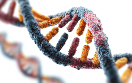 Immune epigenome, Epigenetics, Immunology research, Precision medicine, Infectious diseases, Genomic medicine, Immune cells, DNA methylation, COVID-19 research, Clinical immunology, Epigenetic changes in immune cells, genetic and environmental influence on immunity