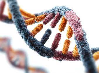 Immune epigenome, Epigenetics, Immunology research, Precision medicine, Infectious diseases, Genomic medicine, Immune cells, DNA methylation, COVID-19 research, Clinical immunology, Epigenetic changes in immune cells, genetic and environmental influence on immunity