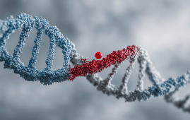 Population genomic screening, hereditary cancer risk, familial hypercholesterolemia, genetic counselling, preventive healthcare, genomic medicine, BRCA2, LDLR, Lynch syndrome, young adults genetic testing, public health genomics, next generation sequencing, early disease detection, clinical genetics, preventive medicine, hereditary cancer risk, familial hypercholesterolemia, young adults genetic testing