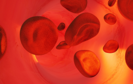 Sickle Cell Gene Therapy, Sickle Cell Disease, Gene Therapy, Hematology Research, BCL11A, Fetal Hemoglobin, Stem Cell Therapy, Global Health Equity, Boston Children’s Hospital, Caring Cross, ASH 2025, Beta Thalassemia, Clinical Trials, Oncology Nursing, Advanced Therapies, Haematology and Oncology for the Pediatrician, Pediatric Hematology