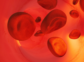 Sickle Cell Gene Therapy, Sickle Cell Disease, Gene Therapy, Hematology Research, BCL11A, Fetal Hemoglobin, Stem Cell Therapy, Global Health Equity, Boston Children’s Hospital, Caring Cross, ASH 2025, Beta Thalassemia, Clinical Trials, Oncology Nursing, Advanced Therapies, Haematology and Oncology for the Pediatrician, Pediatric Hematology