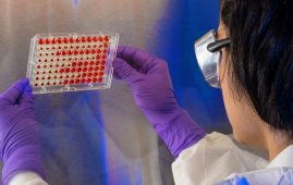 Nanovaccine, Nanovaccine design, HPV tumors, Structural nanomedicine, Spherical nucleic acids, Cancer immunotherapy, CD8 T cells, Head and neck cancer, Cervical cancer, Oncology research, Therapeutic cancer vaccine, Interferon gamma, Tumor immunology, Nanotechnology in medicine, Science Advances study, Translational oncology