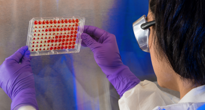 Nanovaccine, Nanovaccine design, HPV tumors, Structural nanomedicine, Spherical nucleic acids, Cancer immunotherapy, CD8 T cells, Head and neck cancer, Cervical cancer, Oncology research, Therapeutic cancer vaccine, Interferon gamma, Tumor immunology, Nanotechnology in medicine, Science Advances study, Translational oncology