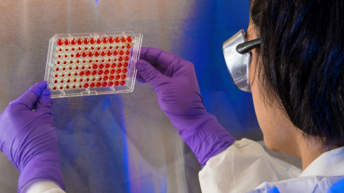 Nanovaccine, Nanovaccine design, HPV tumors, Structural nanomedicine, Spherical nucleic acids, Cancer immunotherapy, CD8 T cells, Head and neck cancer, Cervical cancer, Oncology research, Therapeutic cancer vaccine, Interferon gamma, Tumor immunology, Nanotechnology in medicine, Science Advances study, Translational oncology