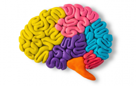 Chronic Brain Compression, Neuron Death, Glioblastoma Research, Neuroinflammation, HIF-1 Signaling, AP-1 Pathway, iPSC Models, Brain Tumor Effects, Cognitive Decline, Neuronal Loss, mechanical stress brain, HIF-1 signaling, AP-1 pathway, neuronal loss, iPSC neural models, synaptic dysfunction, brain tumor pressure, cognitive impairment, motor deficits, seizure risk, neurodegeneration