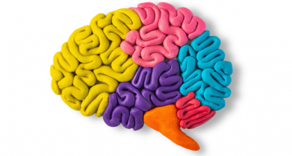 Chronic Brain Compression, Neuron Death, Glioblastoma Research, Neuroinflammation, HIF-1 Signaling, AP-1 Pathway, iPSC Models, Brain Tumor Effects, Cognitive Decline, Neuronal Loss, mechanical stress brain, HIF-1 signaling, AP-1 pathway, neuronal loss, iPSC neural models, synaptic dysfunction, brain tumor pressure, cognitive impairment, motor deficits, seizure risk, neurodegeneration