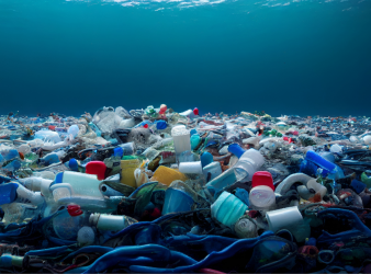 Nanoplastics, Brain Health, Neurodegenerative Diseases, Neuroinflammation, Environmental Exposure, Plastic Pollution, Neurology Research, Public Health, nanoplastics in brain tissue, neurodegenerative disease, neuroinflammation, plastic exposure, protein aggregation, Alzheimer’s disease, Parkinson’s disease, blood brain barrier, environmental plastics, neurological disorders, nanoplastic exposure, brain health research, plastic pollution health, clinical neuroscience, public health risk