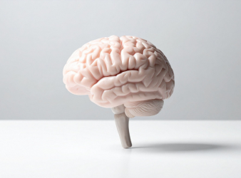 Brain Implant, Needle-thin brain implant, Neural recording, Targeted drug delivery, Epilepsy research, Microfluidic electrode, Optogenetics, Brain implants, Neuromodulation, Neuroscience research, Neurology innovation, soft brain implants, epilepsy research technology, optogenetics electrode, microfluidic brain electrode, neural recording and drug delivery