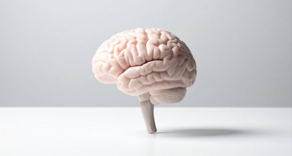 Brain Implant, Needle-thin brain implant, Neural recording, Targeted drug delivery, Epilepsy research, Microfluidic electrode, Optogenetics, Brain implants, Neuromodulation, Neuroscience research, Neurology innovation, soft brain implants, epilepsy research technology, optogenetics electrode, microfluidic brain electrode, neural recording and drug delivery