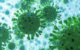 Pediatric Crohn’s Disease, Gut microbiome, Inflammatory bowel disease, IBD research, Fecal microbiome profiling, PCDAI, Pediatric gastroenterology, Microbial biomarkers, Gut dysbiosis, Pro-inflammatory bacteria, Firmicutes, Proteobacteria, NYU research, IBS vs Crohn’s, Personalized medicine, Crohn’s disease severity index, pro-inflammatory bacteria, Proteobacteria in Crohn’s, Firmicutes depletion, microbiome diversity, pediatric gastroenterology, microbiome-targeted therapy