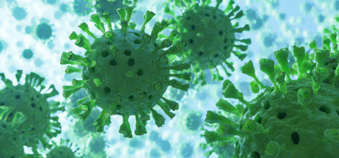 Pediatric Crohn’s Disease, Gut microbiome, Inflammatory bowel disease, IBD research, Fecal microbiome profiling, PCDAI, Pediatric gastroenterology, Microbial biomarkers, Gut dysbiosis, Pro-inflammatory bacteria, Firmicutes, Proteobacteria, NYU research, IBS vs Crohn’s, Personalized medicine, Crohn’s disease severity index, pro-inflammatory bacteria, Proteobacteria in Crohn’s, Firmicutes depletion, microbiome diversity, pediatric gastroenterology, microbiome-targeted therapy