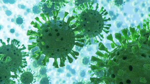 Pediatric Crohn’s Disease, Gut microbiome, Inflammatory bowel disease, IBD research, Fecal microbiome profiling, PCDAI, Pediatric gastroenterology, Microbial biomarkers, Gut dysbiosis, Pro-inflammatory bacteria, Firmicutes, Proteobacteria, NYU research, IBS vs Crohn’s, Personalized medicine, Crohn’s disease severity index, pro-inflammatory bacteria, Proteobacteria in Crohn’s, Firmicutes depletion, microbiome diversity, pediatric gastroenterology, microbiome-targeted therapy