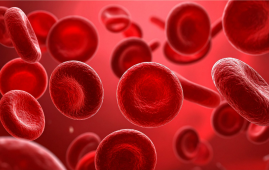 Red blood cells, glucose metabolism, hypoxia, diabetes research, erythrocytosis, glucose tolerance, insulin independent, high altitude physiology, metabolic research, red blood cells glucose metabolism, hypoxia and diabetes, glucose tolerance, erythrocytosis, insulin independent glucose uptake, GLUT1 GLUT4, high altitude hypoxia, diabetes biology, metabolic adaptation, RBC metabolism, glycolysis, Luebering Rapoport shunt, hypoxic adaptation, fasting glucose, translational diabetes research