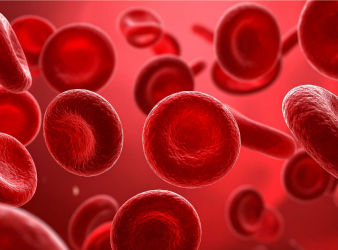 Red blood cells, glucose metabolism, hypoxia, diabetes research, erythrocytosis, glucose tolerance, insulin independent, high altitude physiology, metabolic research, red blood cells glucose metabolism, hypoxia and diabetes, glucose tolerance, erythrocytosis, insulin independent glucose uptake, GLUT1 GLUT4, high altitude hypoxia, diabetes biology, metabolic adaptation, RBC metabolism, glycolysis, Luebering Rapoport shunt, hypoxic adaptation, fasting glucose, translational diabetes research
