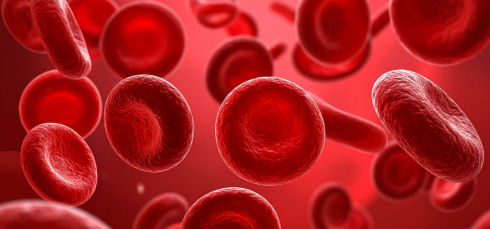 Red blood cells, glucose metabolism, hypoxia, diabetes research, erythrocytosis, glucose tolerance, insulin independent, high altitude physiology, metabolic research, red blood cells glucose metabolism, hypoxia and diabetes, glucose tolerance, erythrocytosis, insulin independent glucose uptake, GLUT1 GLUT4, high altitude hypoxia, diabetes biology, metabolic adaptation, RBC metabolism, glycolysis, Luebering Rapoport shunt, hypoxic adaptation, fasting glucose, translational diabetes research