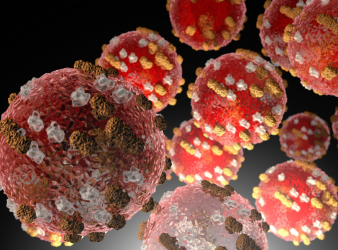 Measles, Measles cases in North Carolina, MMR vaccination, Measles outbreak, Public health alert, Vaccine-preventable disease, NC Department of Health, Infectious disease update, Pediatric health, Immunization programs, Exposure notification, Airborne transmission, Measles symptoms, Outbreak dashboard, Vaccines for Children program, Community health