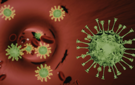 Climate Change, Dengue Outbreaks, Dengue Fever, Vector-Borne Diseases, Public Health, Epidemiology, Infectious Diseases, Global Health, Extreme Weather, Mosquito Control, Environmental Health, Disease Outbreaks, Tropical Medicine, aedes aegypti transmission, global dengue cases rise, public health climate change, vector borne disease spread, dengue outbreak causes, environmental health risks, tropical disease expansion, climate driven epidemics, infectious disease trends, global health threats, dengue prevention strategies