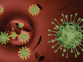 Climate Change, Dengue Outbreaks, Dengue Fever, Vector-Borne Diseases, Public Health, Epidemiology, Infectious Diseases, Global Health, Extreme Weather, Mosquito Control, Environmental Health, Disease Outbreaks, Tropical Medicine, aedes aegypti transmission, global dengue cases rise, public health climate change, vector borne disease spread, dengue outbreak causes, environmental health risks, tropical disease expansion, climate driven epidemics, infectious disease trends, global health threats, dengue prevention strategies