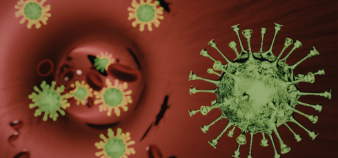 Climate Change, Dengue Outbreaks, Dengue Fever, Vector-Borne Diseases, Public Health, Epidemiology, Infectious Diseases, Global Health, Extreme Weather, Mosquito Control, Environmental Health, Disease Outbreaks, Tropical Medicine, aedes aegypti transmission, global dengue cases rise, public health climate change, vector borne disease spread, dengue outbreak causes, environmental health risks, tropical disease expansion, climate driven epidemics, infectious disease trends, global health threats, dengue prevention strategies