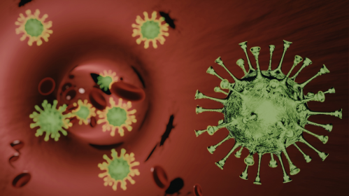 Climate Change, Dengue Outbreaks, Dengue Fever, Vector-Borne Diseases, Public Health, Epidemiology, Infectious Diseases, Global Health, Extreme Weather, Mosquito Control, Environmental Health, Disease Outbreaks, Tropical Medicine, aedes aegypti transmission, global dengue cases rise, public health climate change, vector borne disease spread, dengue outbreak causes, environmental health risks, tropical disease expansion, climate driven epidemics, infectious disease trends, global health threats, dengue prevention strategies