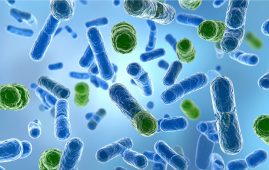 Food tolerance, Food allergy research, Regulatory T cells, Immune tolerance, Gut immune system, Dietary proteins, Zein protein, Food allergy prevention, Stanford University research, Immunology research, Allergy treatment research, Intestinal immunity, Science Immunology study, Pediatric allergy prevention, Clinical immunology, intestinal immunity, zein protein corn, allergy immunology research, immune response to food, food allergy therapy, microbiome and immunity, clinical immunology research, tolerance peptides