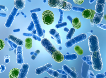 Food tolerance, Food allergy research, Regulatory T cells, Immune tolerance, Gut immune system, Dietary proteins, Zein protein, Food allergy prevention, Stanford University research, Immunology research, Allergy treatment research, Intestinal immunity, Science Immunology study, Pediatric allergy prevention, Clinical immunology, intestinal immunity, zein protein corn, allergy immunology research, immune response to food, food allergy therapy, microbiome and immunity, clinical immunology research, tolerance peptides