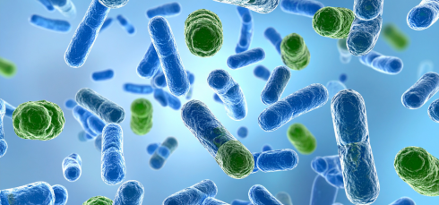 Food tolerance, Food allergy research, Regulatory T cells, Immune tolerance, Gut immune system, Dietary proteins, Zein protein, Food allergy prevention, Stanford University research, Immunology research, Allergy treatment research, Intestinal immunity, Science Immunology study, Pediatric allergy prevention, Clinical immunology, intestinal immunity, zein protein corn, allergy immunology research, immune response to food, food allergy therapy, microbiome and immunity, clinical immunology research, tolerance peptides