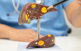 Fragmentome Technology, Liver Fibrosis Detection, Cirrhosis Screening, AI Liquid Biopsy, Cell-Free DNA, cfDNA Fragmentation, Genome-Wide Sequencing, Chronic Liver Disease, Hepatology Research, Cancer Prevention, Machine Learning in Medicine, Comorbidity Index, Precision Medicine, Translational Medicine, Early Disease Detection, liver disease biomarkers, liver fibrosis blood test, machine learning in hepatology, noninvasive liver disease diagnosis, comorbidity index prediction, cirrhosis risk assessment, precision medicine liver disease, translational medicine research