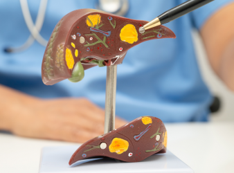 Fragmentome Technology, Liver Fibrosis Detection, Cirrhosis Screening, AI Liquid Biopsy, Cell-Free DNA, cfDNA Fragmentation, Genome-Wide Sequencing, Chronic Liver Disease, Hepatology Research, Cancer Prevention, Machine Learning in Medicine, Comorbidity Index, Precision Medicine, Translational Medicine, Early Disease Detection, liver disease biomarkers, liver fibrosis blood test, machine learning in hepatology, noninvasive liver disease diagnosis, comorbidity index prediction, cirrhosis risk assessment, precision medicine liver disease, translational medicine research