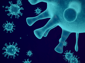 Influenza Vulnerability Index, Influenza-like illness, Public health research, Machine learning in healthcare, Epidemiology research, Infectious disease risk, Flu risk factors, Population health, Health disparities, Healthcare access, Epidemiology data science, CDC research insights, Public health preparedness, Seasonal influenza risk, Health policy research, flu outbreak risk, epidemiology research, population health risk mapping, disease transmission factors, influenza complications risk, census health data analysis, epidemic preparedness