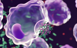 PFK enzyme, glycolysis, cell cycle progression, RNA binding protein, Pfk2, mRNA translation, cell division, molecular biology, yeast model, proteomics, cancer research, metabolic regulation, G1 S phase, RNA helicase activity, biomedical research, Pfk2 function, mRNA translation regulation, metabolic pathway enzymes, cell division mechanism, yeast cell cycle study, RNA helicase activity, cancer cell proliferation research, proteomics study findings, molecular relay switch metabolism, gene expression regulation