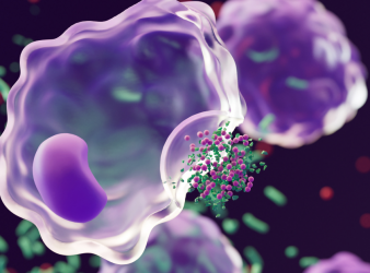 PFK enzyme, glycolysis, cell cycle progression, RNA binding protein, Pfk2, mRNA translation, cell division, molecular biology, yeast model, proteomics, cancer research, metabolic regulation, G1 S phase, RNA helicase activity, biomedical research, Pfk2 function, mRNA translation regulation, metabolic pathway enzymes, cell division mechanism, yeast cell cycle study, RNA helicase activity, cancer cell proliferation research, proteomics study findings, molecular relay switch metabolism, gene expression regulation