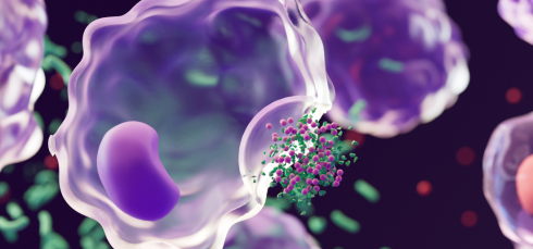 PFK enzyme, glycolysis, cell cycle progression, RNA binding protein, Pfk2, mRNA translation, cell division, molecular biology, yeast model, proteomics, cancer research, metabolic regulation, G1 S phase, RNA helicase activity, biomedical research, Pfk2 function, mRNA translation regulation, metabolic pathway enzymes, cell division mechanism, yeast cell cycle study, RNA helicase activity, cancer cell proliferation research, proteomics study findings, molecular relay switch metabolism, gene expression regulation