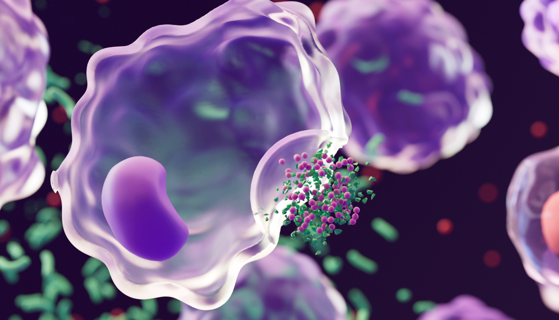 PFK enzyme, glycolysis, cell cycle progression, RNA binding protein, Pfk2, mRNA translation, cell division, molecular biology, yeast model, proteomics, cancer research, metabolic regulation, G1 S phase, RNA helicase activity, biomedical research, Pfk2 function, mRNA translation regulation, metabolic pathway enzymes, cell division mechanism, yeast cell cycle study, RNA helicase activity, cancer cell proliferation research, proteomics study findings, molecular relay switch metabolism, gene expression regulation