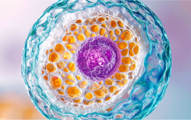 Stem Cell Therapy, Parkinson’s Disease, Regenerative Medicine, Neurology Education, CME Courses, ISSCR, Harvard Medical School, Dopamine Neuron Replacement, Clinical Trials Parkinson’s, Movement Disorders, Neurology Research, Stem Cell Medicine, Physician Education, Nursing Education, Neurodegenerative Disease, ISSCR education program, neurology continuing education, stem cell medicine course, Parkinson’s disease clinical research, regenerative therapies for PD, neurology training course, stem cell research Parkinson’s, movement disorders education, healthcare professional neurology CME