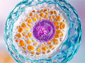 Stem Cell Therapy, Parkinson’s Disease, Regenerative Medicine, Neurology Education, CME Courses, ISSCR, Harvard Medical School, Dopamine Neuron Replacement, Clinical Trials Parkinson’s, Movement Disorders, Neurology Research, Stem Cell Medicine, Physician Education, Nursing Education, Neurodegenerative Disease, ISSCR education program, neurology continuing education, stem cell medicine course, Parkinson’s disease clinical research, regenerative therapies for PD, neurology training course, stem cell research Parkinson’s, movement disorders education, healthcare professional neurology CME