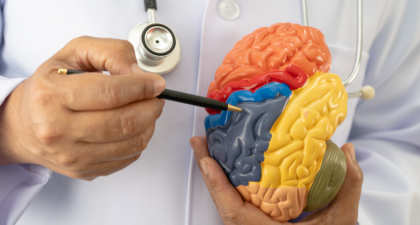 Brain Categorization, Predictive Processing, Cognitive Neuroscience, Brain Function, Perception, Neural Networks, Mental Health, Depression, Autism, Sensory Processing, Neuroscience Research, Brain Signals, Learning Mechanisms, Clinical Neuroscience, Allostasis, eural feedback loops, brain function, sensory processing, mental health neuroscience, depression brain theory, autism sensory processing, neural networks brain, predictive brain model, neuroscience research, cortical processing, allostasis brain