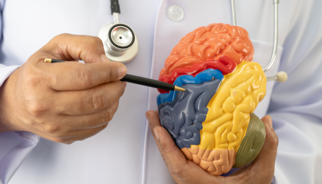 Brain Categorization, Predictive Processing, Cognitive Neuroscience, Brain Function, Perception, Neural Networks, Mental Health, Depression, Autism, Sensory Processing, Neuroscience Research, Brain Signals, Learning Mechanisms, Clinical Neuroscience, Allostasis, eural feedback loops, brain function, sensory processing, mental health neuroscience, depression brain theory, autism sensory processing, neural networks brain, predictive brain model, neuroscience research, cortical processing, allostasis brain