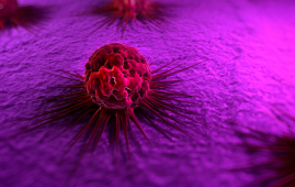 nivolumab, oral dysplasia, precancerous oral lesions, immunotherapy, checkpoint inhibitors, PD-1 inhibitor, oral cancer prevention, intralesional therapy, AACR 2026, head and neck oncology, cancer immunology, clinical trials oncology, MD Anderson research, minimally invasive oncology, tumor microenvironment, MD Anderson study, tumor immune response, CD8 T cell activation, non surgical cancer treatment, early cancer intervention, oncology clinical trial results