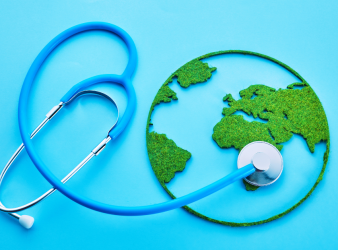 One Health Summit, WHO, Global Health, Zoonotic Diseases, Public Health, Pandemic Preparedness, Avian Influenza, Rabies Elimination, Environmental Health, Global Health Policy, Infectious Diseases, Health Systems, WHO Collaborating Centres, rabies elimination 2030, environmental health risks, global health policy, infectious disease prevention, WHO initiatives, public health collaboration, climate change health impact, One Health framework, global health security