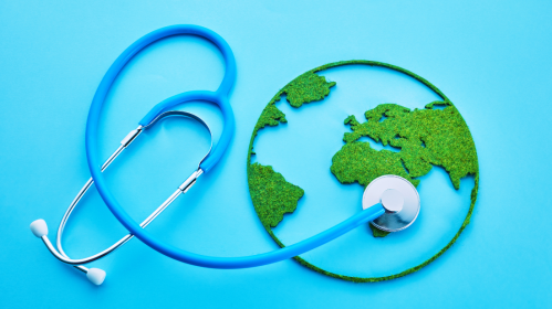 One Health Summit, WHO, Global Health, Zoonotic Diseases, Public Health, Pandemic Preparedness, Avian Influenza, Rabies Elimination, Environmental Health, Global Health Policy, Infectious Diseases, Health Systems, WHO Collaborating Centres, rabies elimination 2030, environmental health risks, global health policy, infectious disease prevention, WHO initiatives, public health collaboration, climate change health impact, One Health framework, global health security