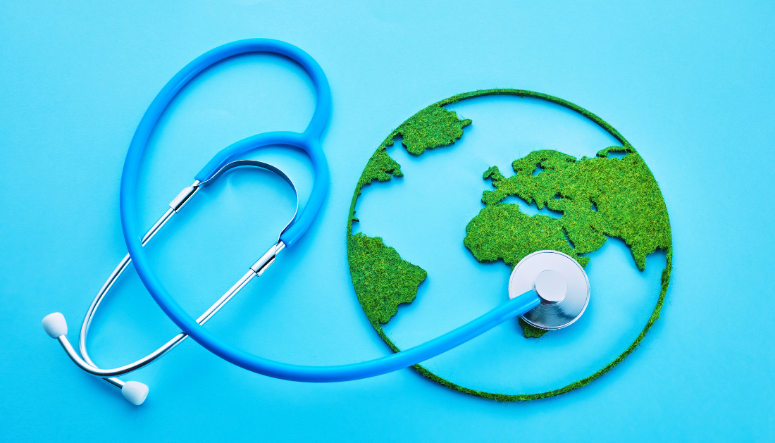 One Health Summit, WHO, Global Health, Zoonotic Diseases, Public Health, Pandemic Preparedness, Avian Influenza, Rabies Elimination, Environmental Health, Global Health Policy, Infectious Diseases, Health Systems, WHO Collaborating Centres, rabies elimination 2030, environmental health risks, global health policy, infectious disease prevention, WHO initiatives, public health collaboration, climate change health impact, One Health framework, global health security