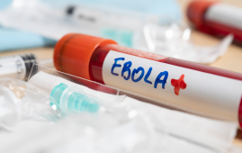 Ebola Disease, Bundibugyo Virus, WHO, Public Health Emergency, Ebola Outbreak 2026, DRC Ebola Cases, Uganda Ebola Cases, Viral Hemorrhagic Fever, Infection Prevention and Control, Healthcare Workers, Cross-Border Surveillance, Global Health Emergency, Infectious Disease News, Ebola Preparedness, Public Health Alert, Ebola surveillance, global health emergency, outbreak preparedness, cross-border disease spread, Ebola healthcare workers, Bundibugyo virus disease