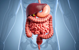 Gut Keystone Bacteria, Gut Microbiota, Microbiome Research, Probiotics, Prebiotics, Gut Health, SCFA Production, Akkermansia muciniphila, DASH Diet, Mediterranean Diet, Ketogenic Diet, Microbiome Therapy, Precision Nutrition, Gastroenterology, Clinical Nutrition, Faecalibacterium prausnitzii, DASH diet, ketogenic diet, Mediterranean diet, precision nutrition
