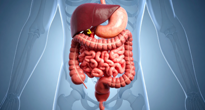 Gut Keystone Bacteria, Gut Microbiota, Microbiome Research, Probiotics, Prebiotics, Gut Health, SCFA Production, Akkermansia muciniphila, DASH Diet, Mediterranean Diet, Ketogenic Diet, Microbiome Therapy, Precision Nutrition, Gastroenterology, Clinical Nutrition, Faecalibacterium prausnitzii, DASH diet, ketogenic diet, Mediterranean diet, precision nutrition