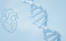 New polygenic risk scores improve early heart disease detection and help clinicians personalize cardiovascular prevention strategies.