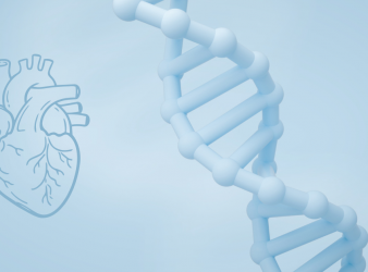 New polygenic risk scores improve early heart disease detection and help clinicians personalize cardiovascular prevention strategies.